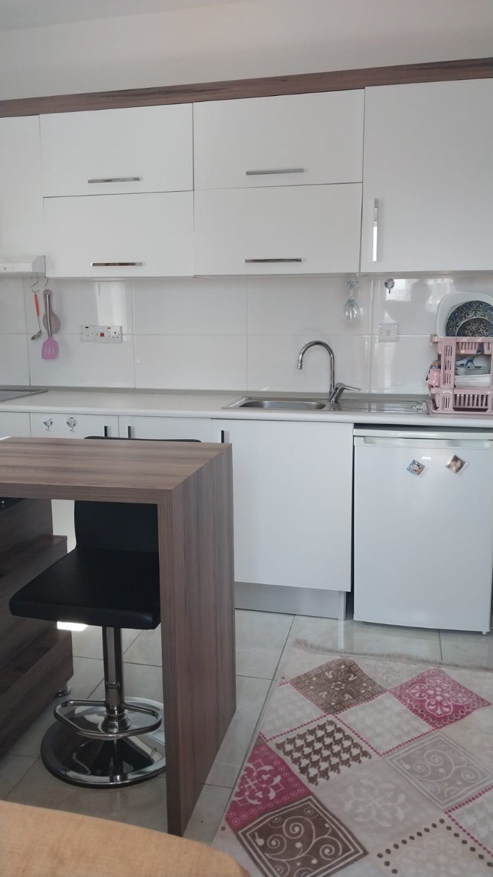 Kitchen cabinets, sink and refrigerator